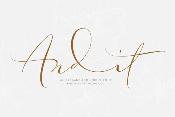 Andit: A Delicate Handwritten Font for Branding