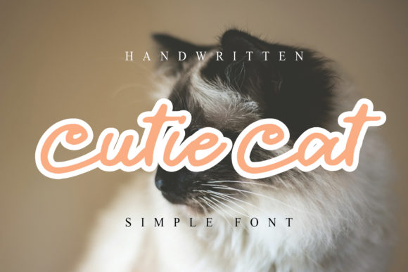 Cutie Cat