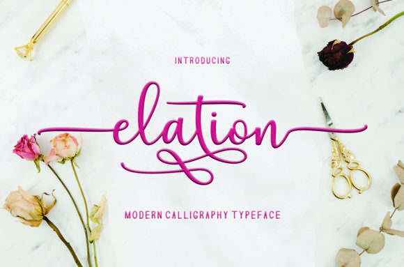 Elation: A Versatile Font for Dynamic Campaigns