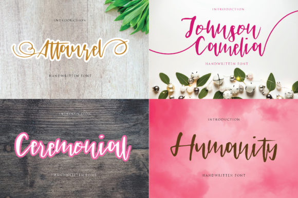 Johnson Camelia: A Font That Elevates Digital Branding