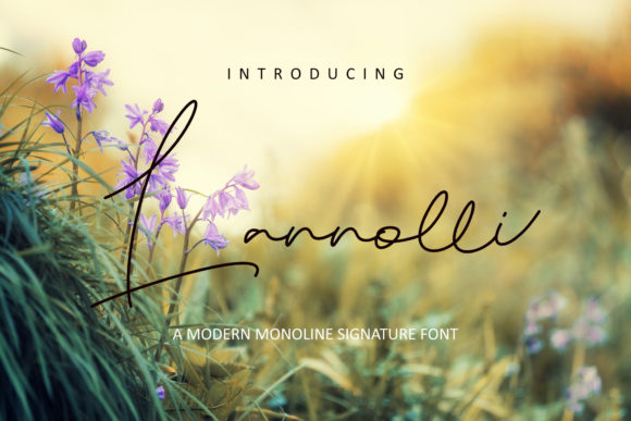 Lannolli: A Playful Script Font for Modern Branding