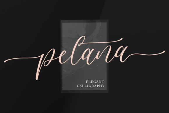 Pelana Script Font for Modern Branding and Marketing